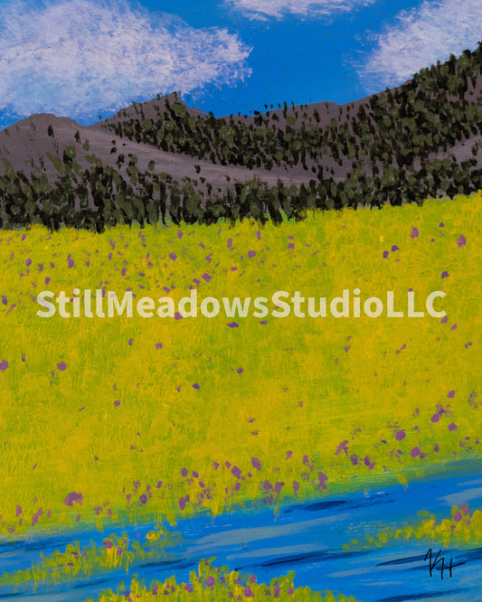 Still Meadows