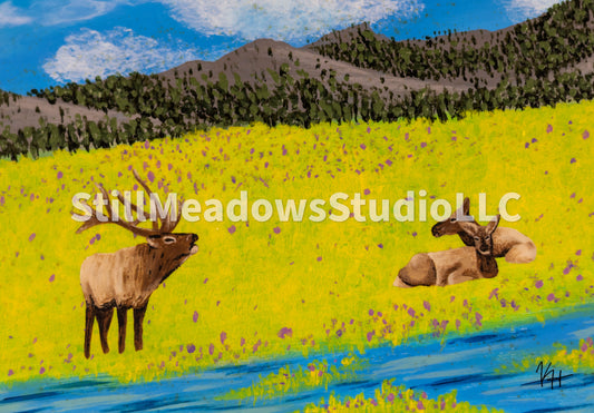 Yellowstone