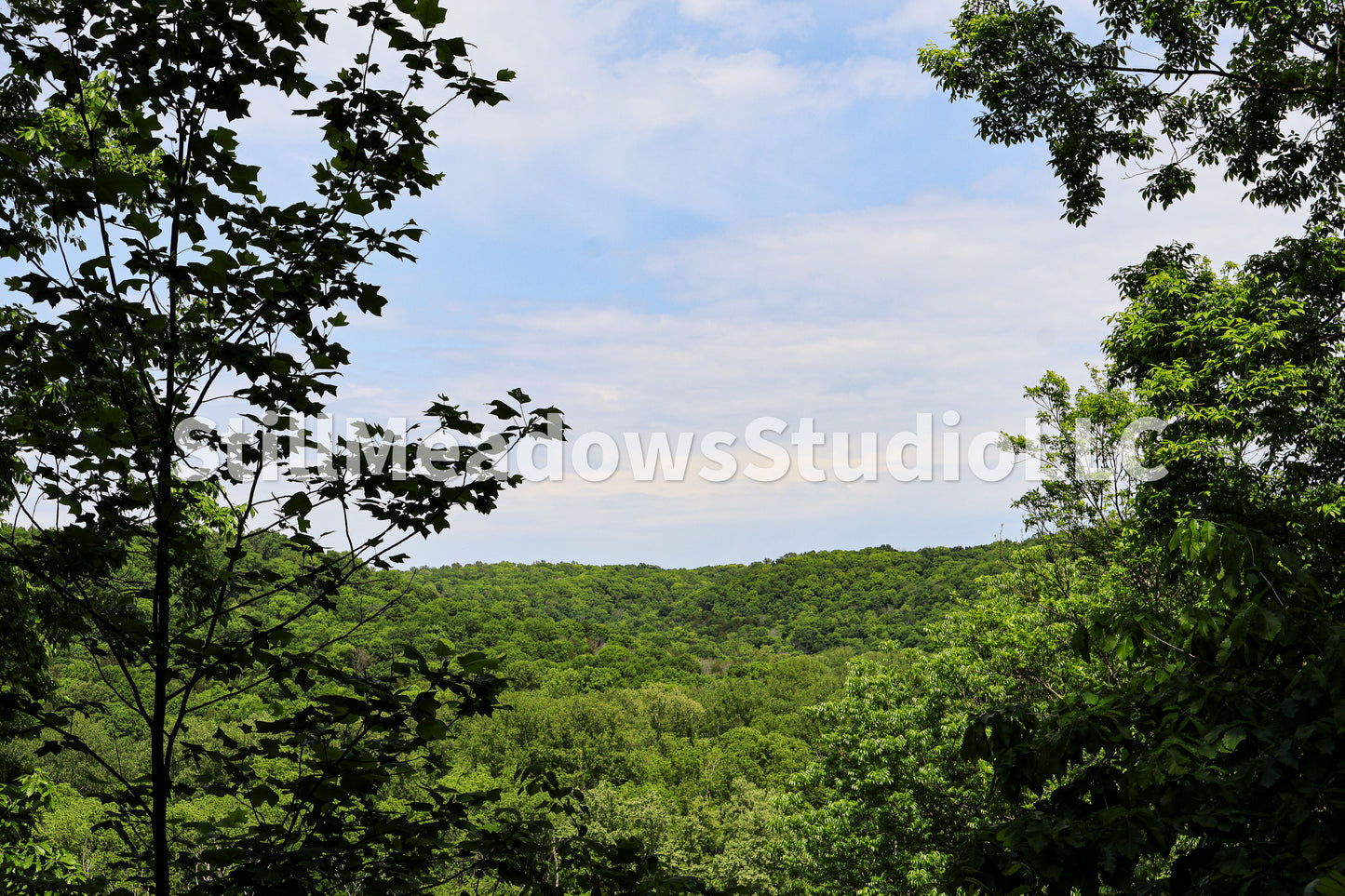 Overlook