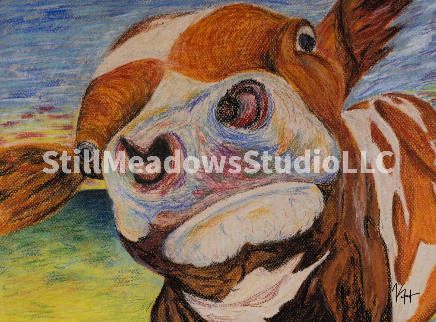 Curious Cow