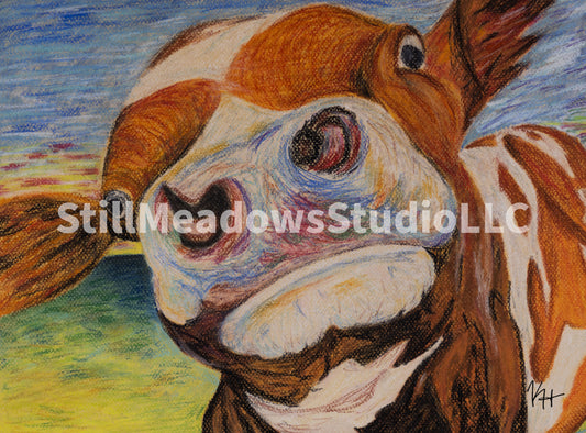 Curious Cow
