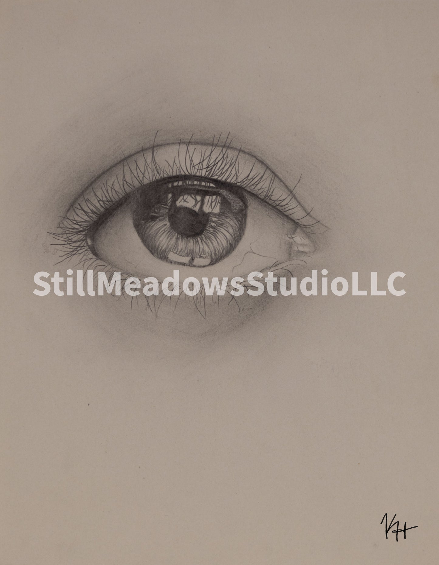 The Human Eye
