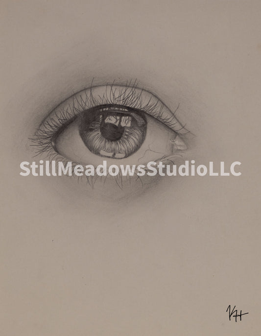 The Human Eye